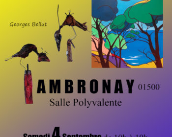 Salon des Arts Ambronay 2021